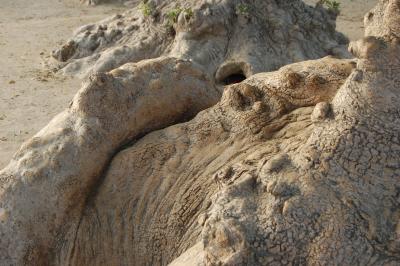 Прикрепленное изображение: DSC_0032.JPG